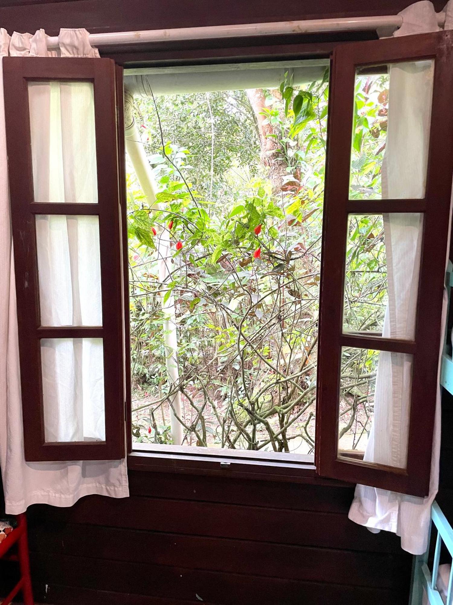 Casa Selva - Vila Do Abraao - Ilha Grande Buitenkant foto
