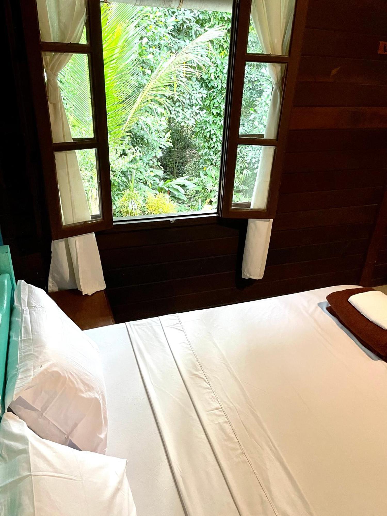 Casa Selva - Vila Do Abraao - Ilha Grande Buitenkant foto